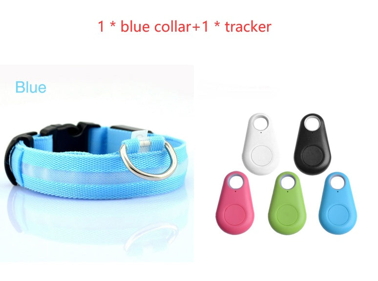 Glow LED Dog Collar for Safer Evening Adventures