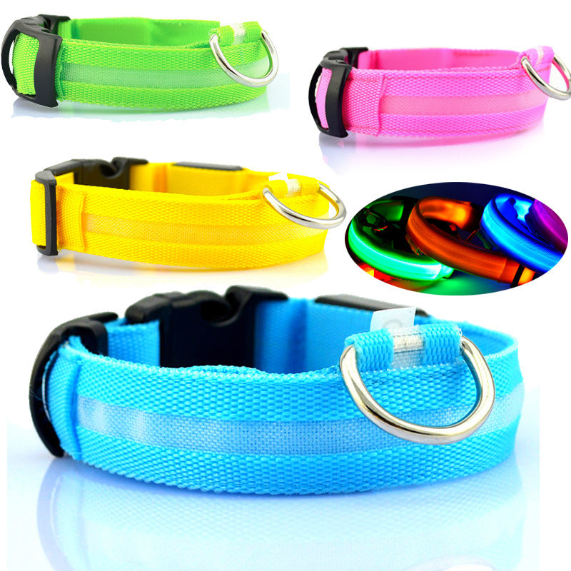 Glow LED Dog Collar for Safer Evening Adventures