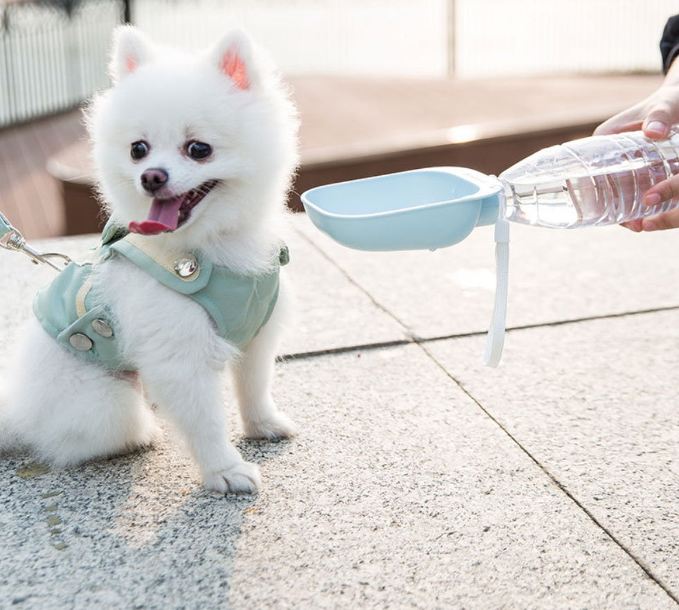 Teddy Portable Pet Water Bottle for Happy Hydration
