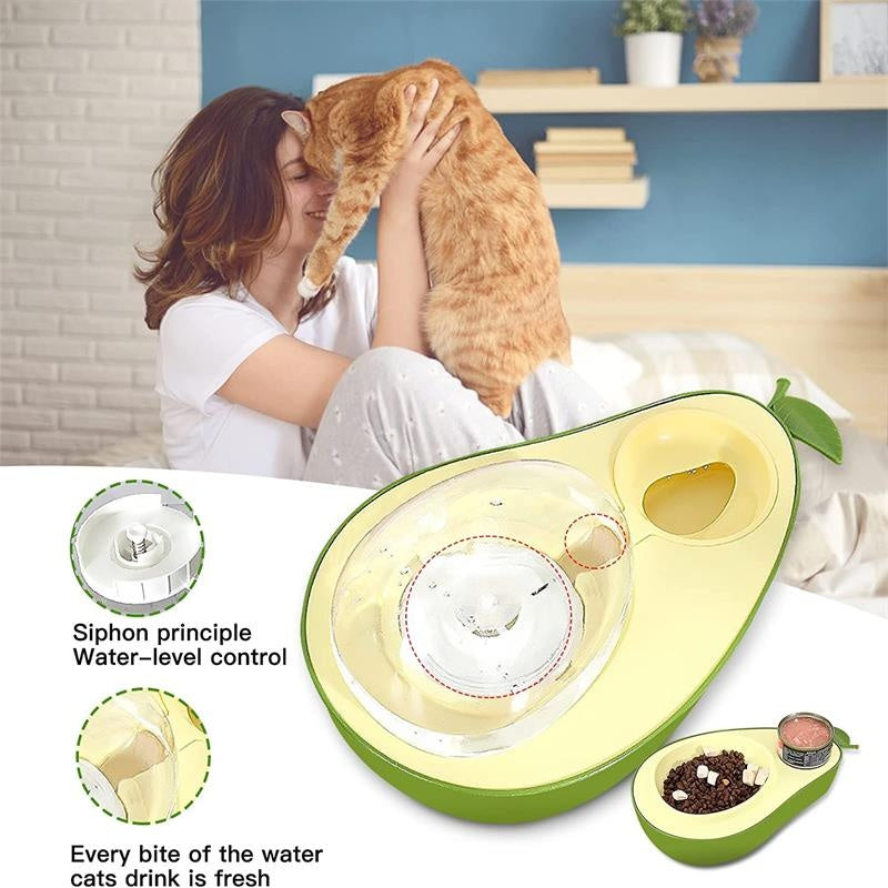 Avocado Automatic Pet Water & Slow Feeder for Small Pets