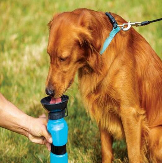 Travel Dog Water Bottle for Happy, Hydrated Adventures