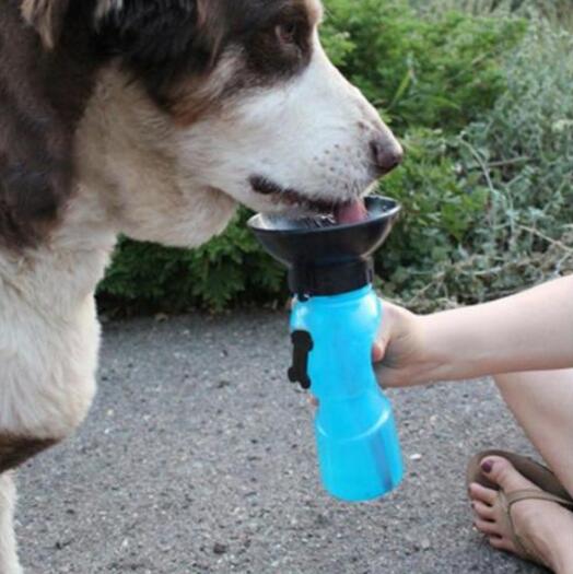 Travel Dog Water Bottle for Happy, Hydrated Adventures