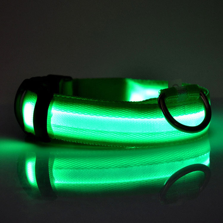 Glow LED Dog Collar for Safer Evening Adventures