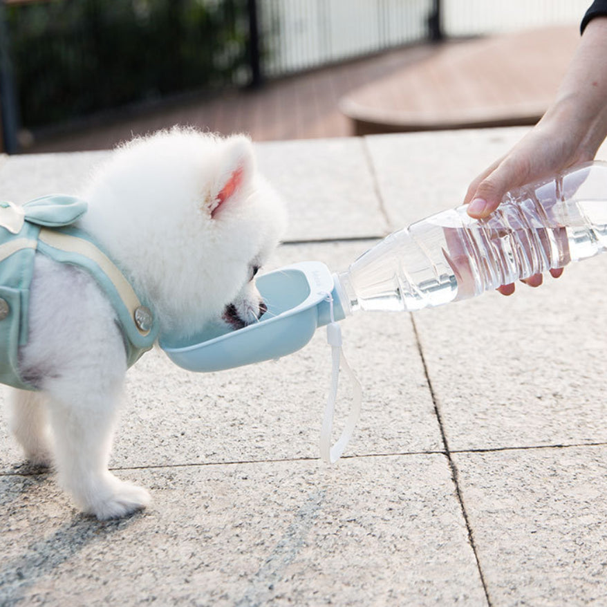 Teddy Portable Pet Water Bottle for Happy Hydration